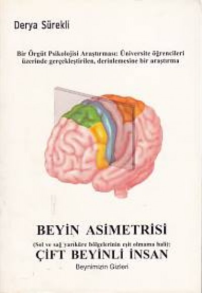 Beyin Asimetrisi - Çift Beyinli İnsan Beyin Asimetrisi - Çift Beyinli İnsan