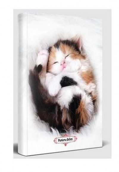 Uykucu Kedi - Planlama Defteri Uykucu Kedi - Planlama Defteri