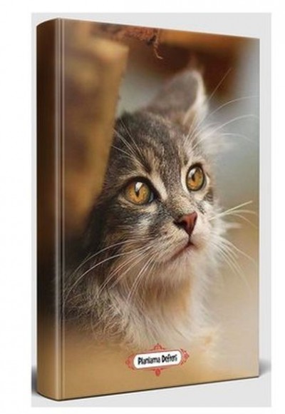Minik Kedi - Planlama Defteri Minik Kedi - Planlama Defteri