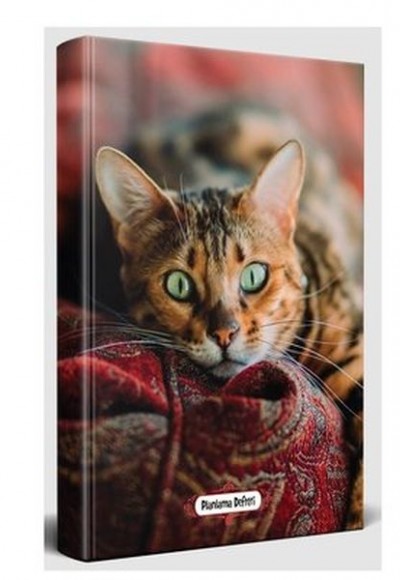 Şaşkın Kedi - Planlama Defteri Şaşkın Kedi - Planlama Defteri