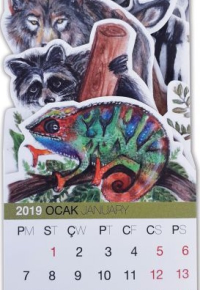 Cep Takvimi (2019-2020) Renkli World Of Animals Cep Takvimi (2019-2020) Renkli World Of Animals