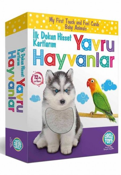 Circle Toys Dokun Hisset Tanı Yavru Hayvanlar Eğitim Kartları