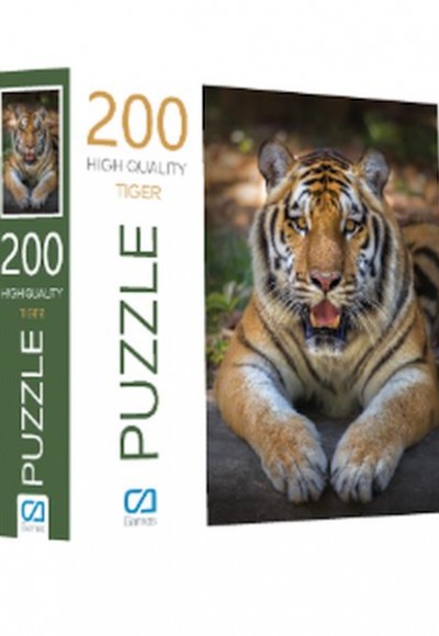 Kaplan Puzzle 200