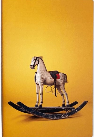 Nesin Defter - Sallanan At Nesin Defter - Sallanan At