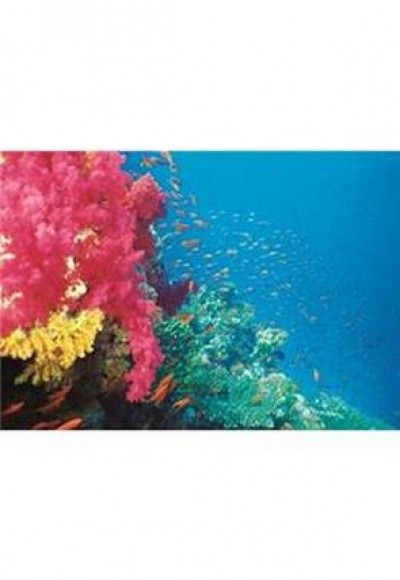 Mercan Bahçesi 1000 Parça Puzzle (40919) Mercan Bahçesi 1000 Parça Puzzle (40919)
