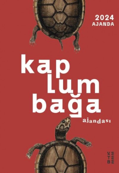 Kaplumbağa Ajandası Kaplumbağa Ajandası