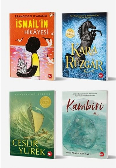 11+ Yaş İçin Okuma Seti (4 Kitap Takım) 11+ Yaş İçin Okuma Seti (4 Kitap Takım)