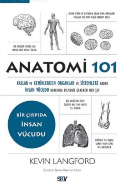 Anatomi 101 Anatomi 101