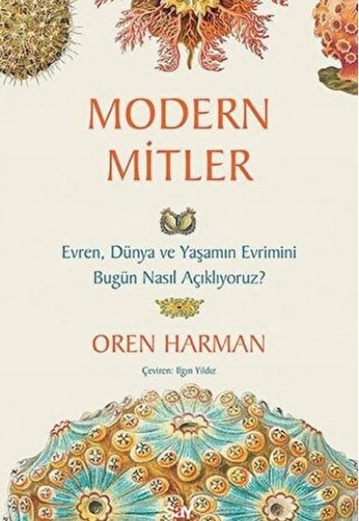 Modern Mitler Modern Mitler
