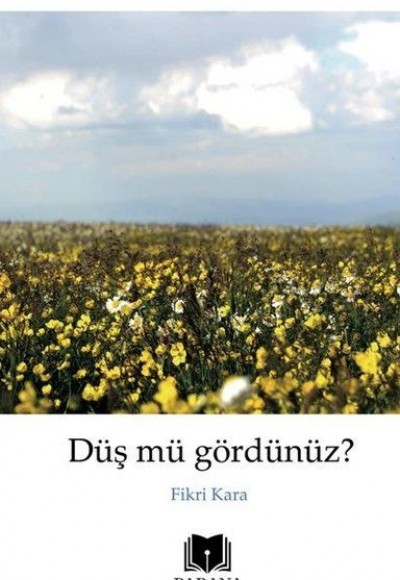 Düş mü Gördünüz? Düş mü Gördünüz?