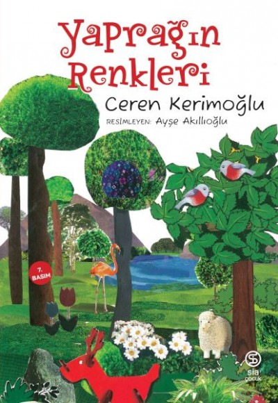 Yaprağın Renkleri Yaprağın Renkleri