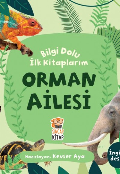 Orman Ailesi - Bilgi Dolu İlk Kitaplarım Orman Ailesi - Bilgi Dolu İlk Kitaplarım