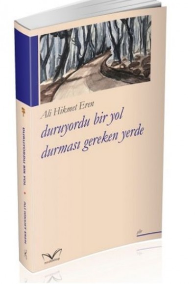 Duruyordu Bir Yol Durmasi Gereken Yerde