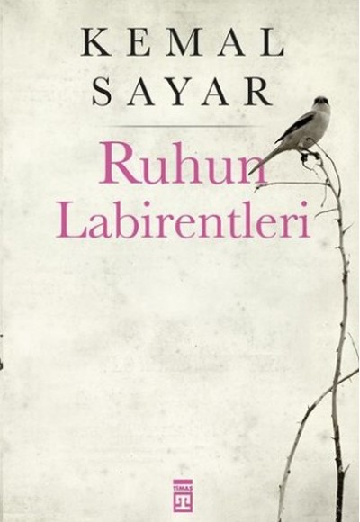 Ruhun Labirentleri Ruhun Labirentleri