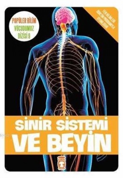 Sinir Sistemi ve Beyin / Vücudumuz Dizisi Sinir Sistemi ve Beyin / Vücudumuz Dizisi