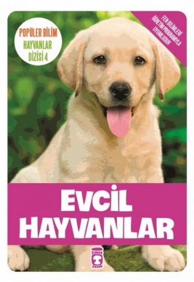 Evcil Hayvanlar Evcil Hayvanlar