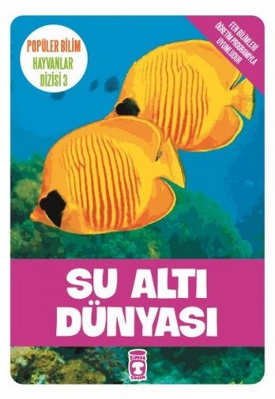 Su Altı Dünyası Su Altı Dünyası