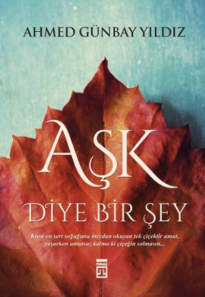 Aşk Diye Bir Şey Aşk Diye Bir Şey