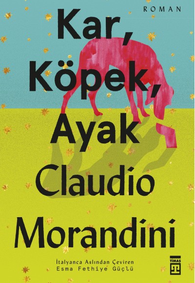 Kar, Köpek, Ayak Kar, Köpek, Ayak