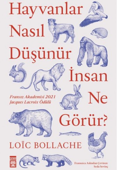 Hayvanlar Nasıl Düşünür İnsanlar Ne Görür? Hayvanlar Nasıl Düşünür İnsanlar Ne Görür?