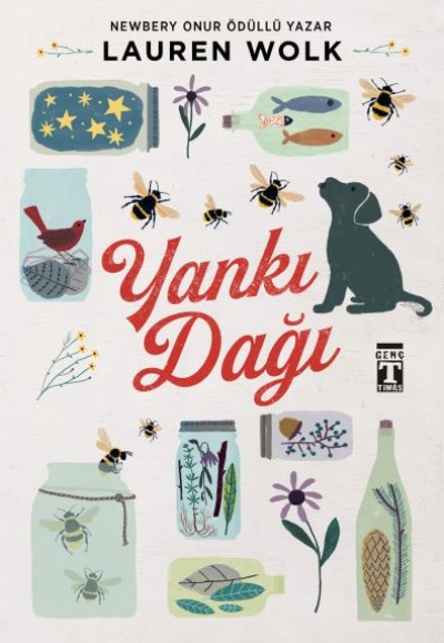 Yankı Dağı Yankı Dağı