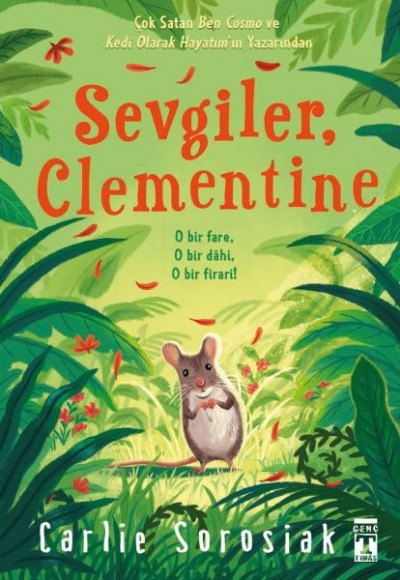 Sevgiler Clementine Sevgiler Clementine