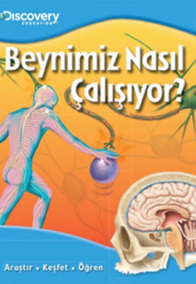 Dıscovery Education Beynimiz Nasıl Çalışıyor? Dıscovery Education Beynimiz Nasıl Çalışıyor?