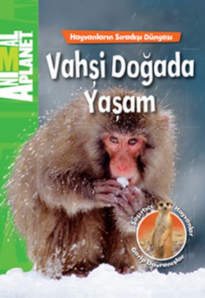 Animal Planet Vahşi Doğada Yaşam Animal Planet Vahşi Doğada Yaşam