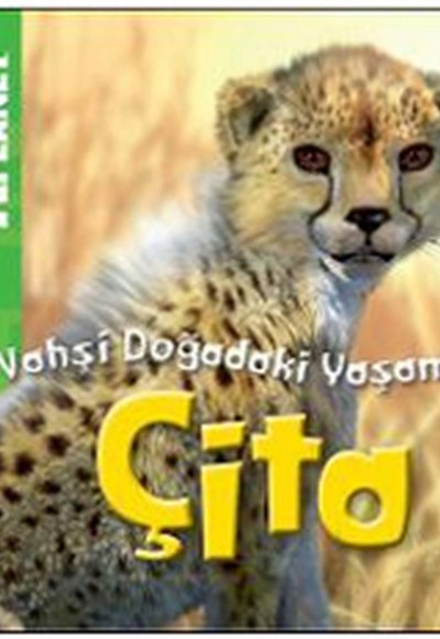 Animal Planet Doğadaki Vahşi Yaşamım Çita Animal Planet Doğadaki Vahşi Yaşamım Çita