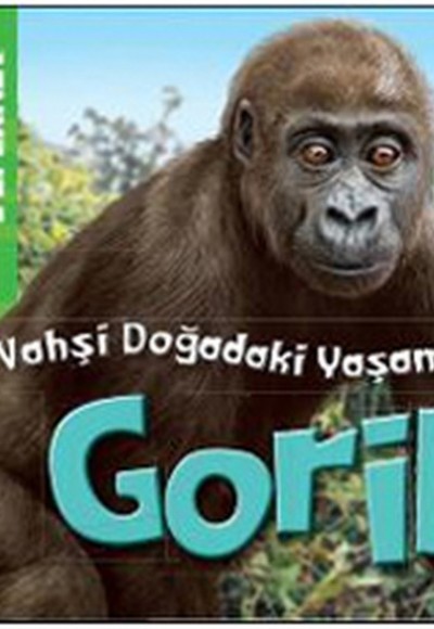 Animal Planet Doğadaki Vahşi Yaşamım Goril Animal Planet Doğadaki Vahşi Yaşamım Goril
