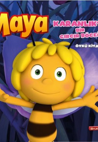 Arı Maya Karanlıkta Bir Cırcır Böceği Öykü Kitabı Arı Maya Karanlıkta Bir Cırcır Böceği Öykü Kitabı