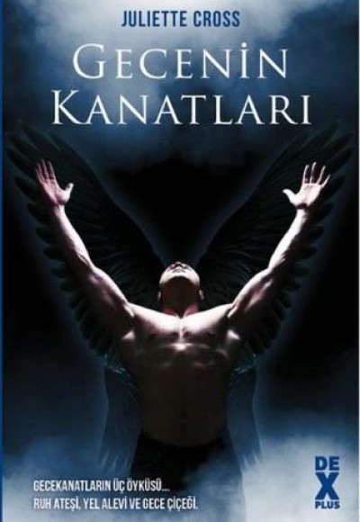 Gecenin Kanatları Gecenin Kanatları