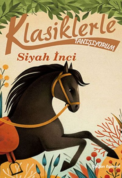 Klasiklerle Tanışıyorum - Siyah İnci Klasiklerle Tanışıyorum - Siyah İnci