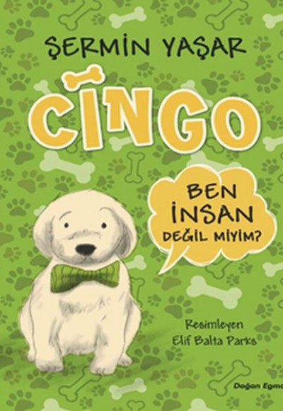 Cingo Cingo