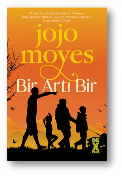 Bir Artı Bir Bir Artı Bir