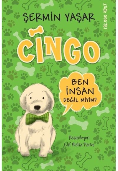 Cingo Cingo