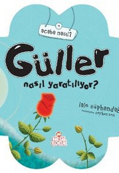 Gül Nasıl Yaratılıyor? Gül Nasıl Yaratılıyor?