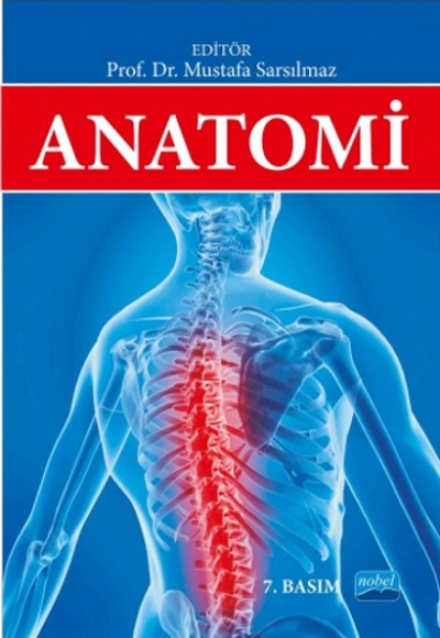 Anatomi Anatomi