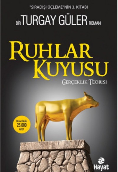 Ruhlar Kuyusu - Gerçeklik Teorisi Ruhlar Kuyusu - Gerçeklik Teorisi