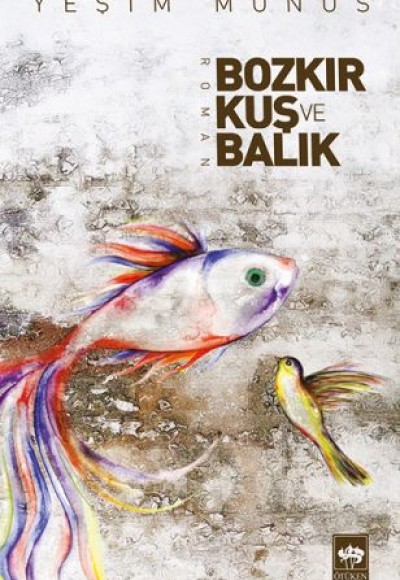 Bozkır Kuş ve Balık Bozkır Kuş ve Balık