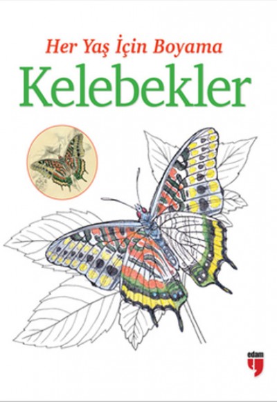 Her Yaş İçin Boyama - Kelebekler Her Yaş İçin Boyama - Kelebekler