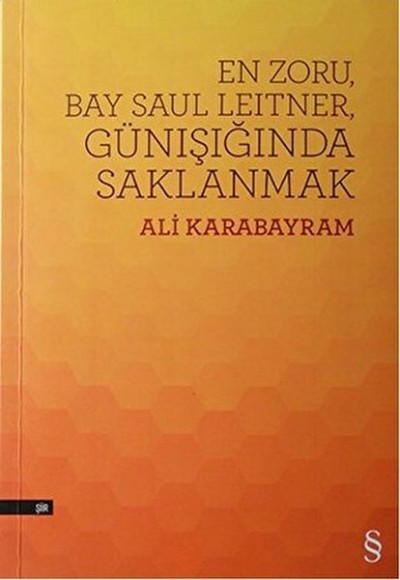 En Zoru, Bay Saul Leitner, Günışığında Saklanmak En Zoru, Bay Saul Leitner, Günışığında Saklanmak