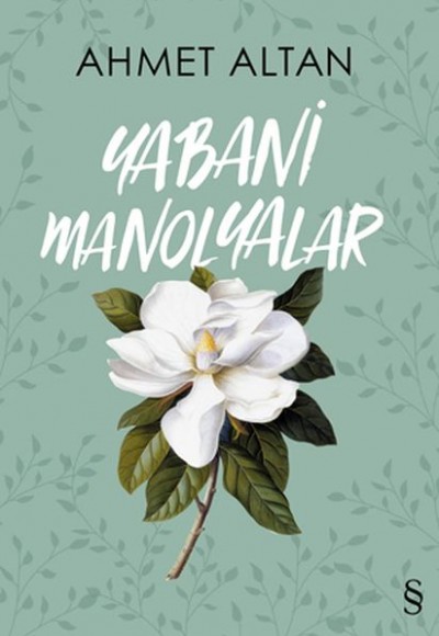 Yabani Manolyalar Yabani Manolyalar
