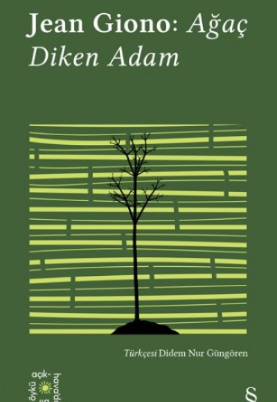 Ağaç Diken Adam - Everest Açıkhava 17 Ağaç Diken Adam - Everest Açıkhava 17