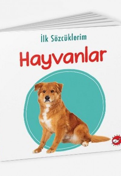 İlk Sözcüklerim - Hayvanlar İlk Sözcüklerim - Hayvanlar