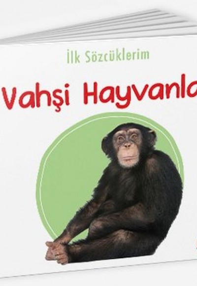 İlk Sözcüklerim - Vahşi Hayvanlar İlk Sözcüklerim - Vahşi Hayvanlar