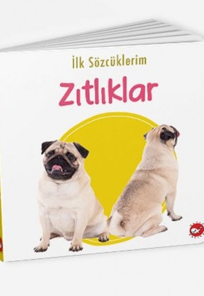 İlk Sözcüklerim - Zıtlıklar İlk Sözcüklerim - Zıtlıklar