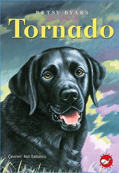 Tornado Tornado