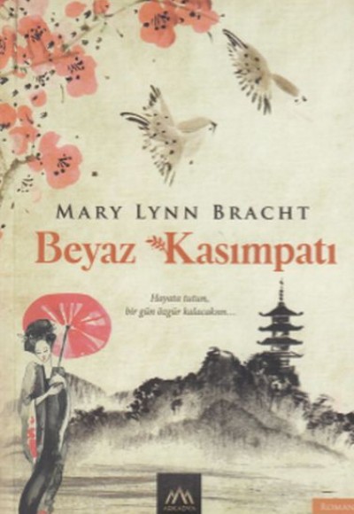 Beyaz Kasımpatı Beyaz Kasımpatı