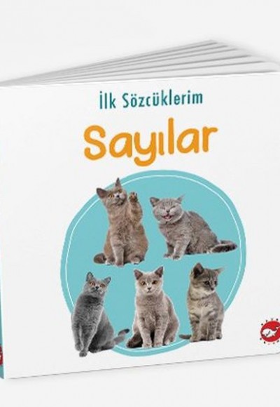 İlk Sözcüklerim - Sayılar İlk Sözcüklerim - Sayılar